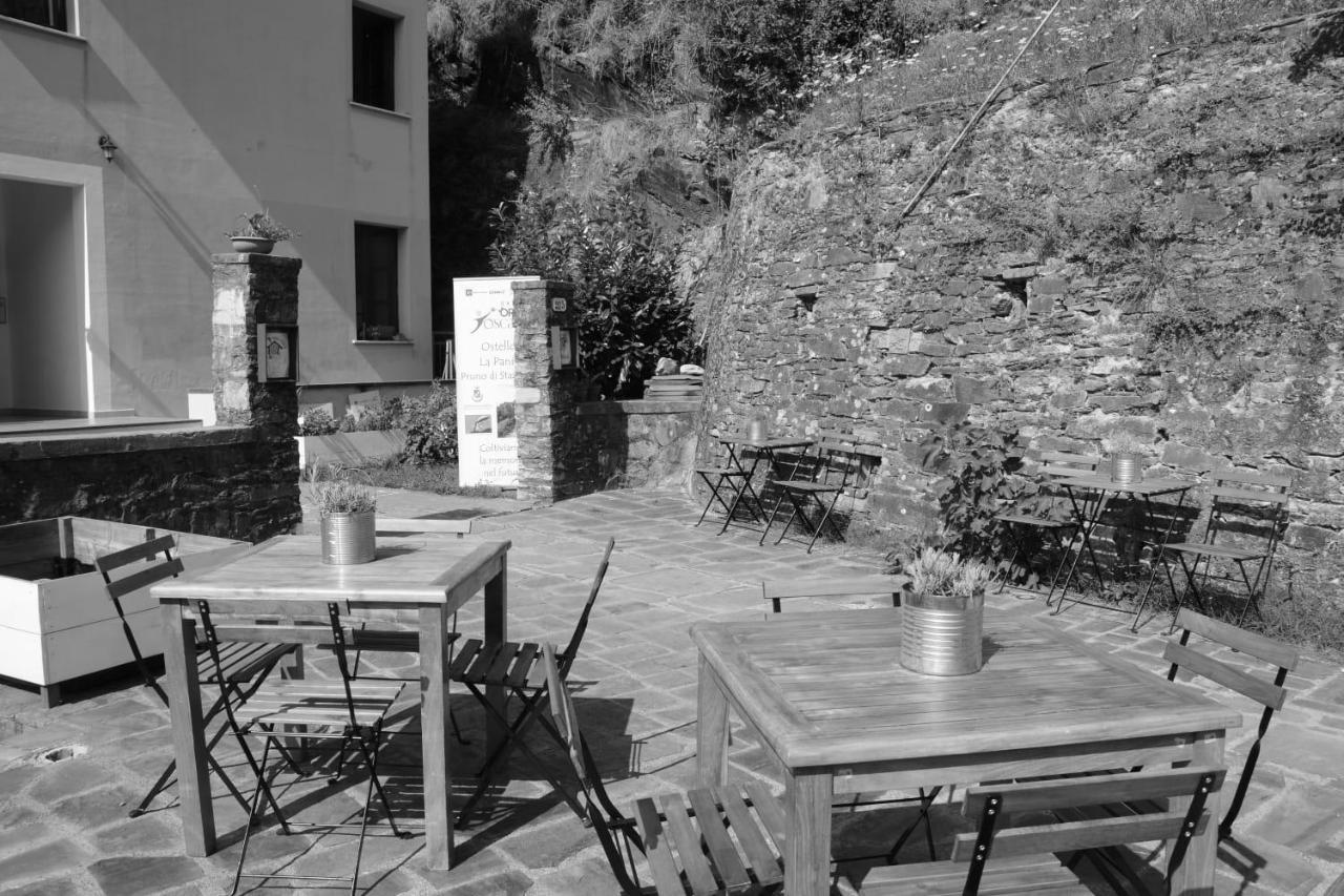 Pania Forata Hostel Stazzema Dış mekan fotoğraf