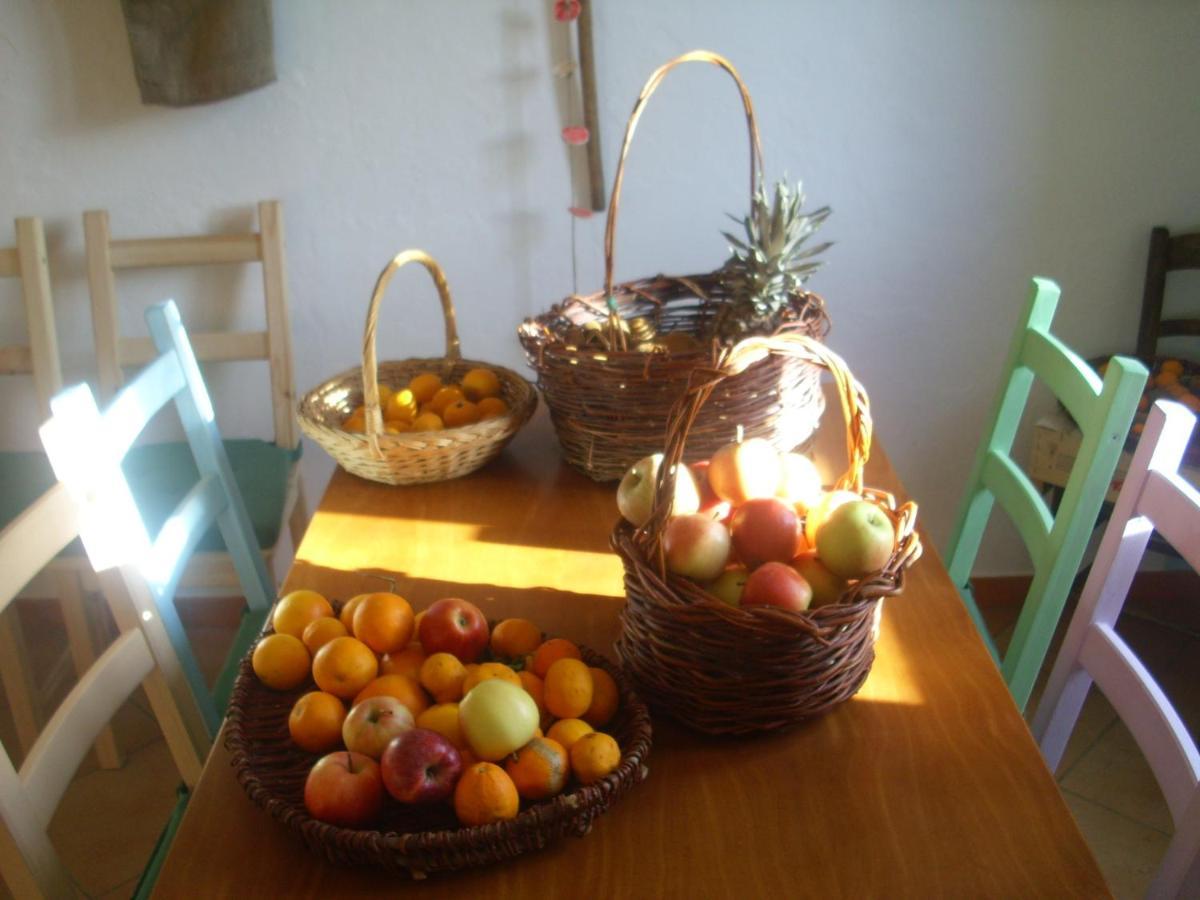 Pania Forata Hostel Stazzema Dış mekan fotoğraf