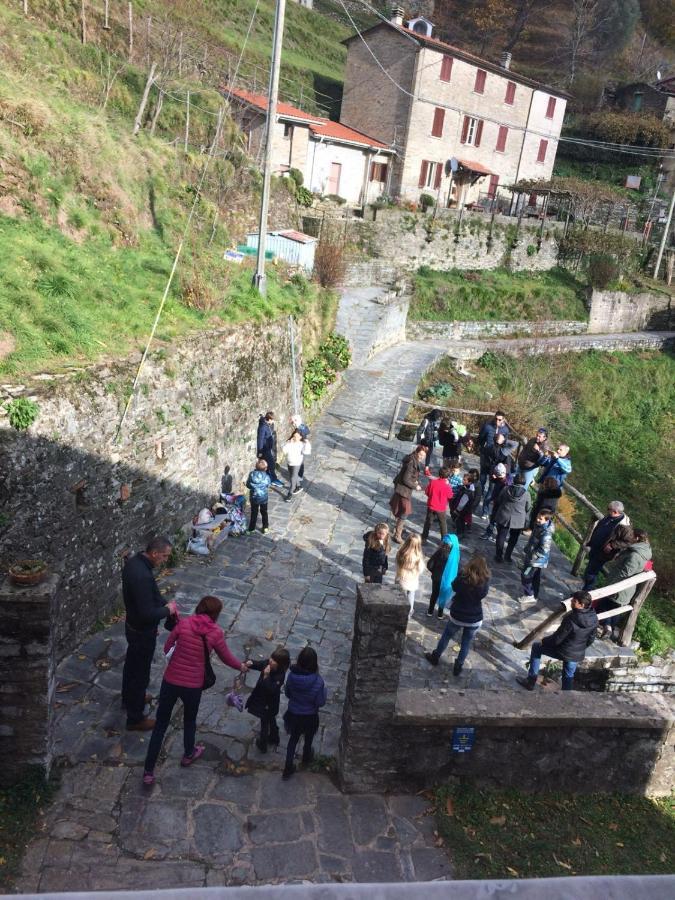 Pania Forata Hostel Stazzema Dış mekan fotoğraf