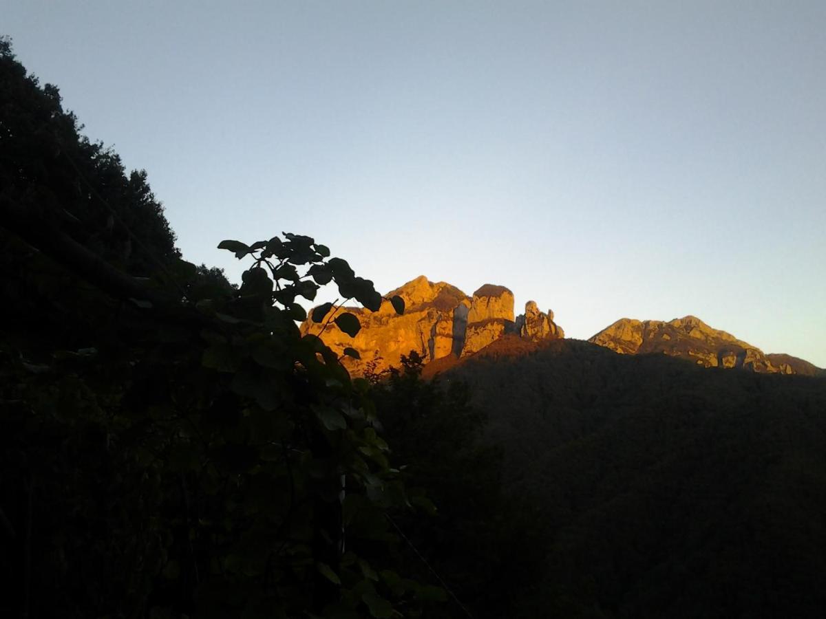 Pania Forata Hostel Stazzema Dış mekan fotoğraf
